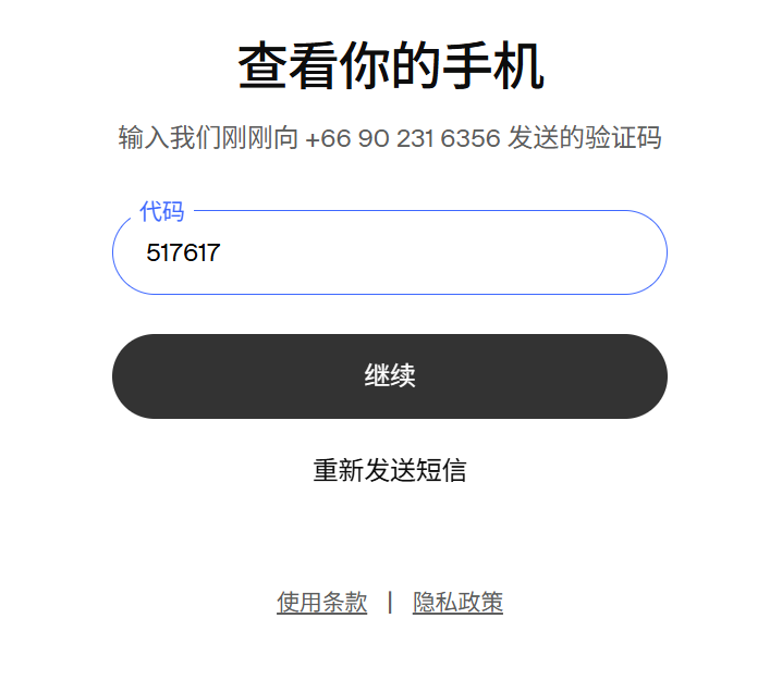 在 Hero-SMS 收到 6 位数验证码