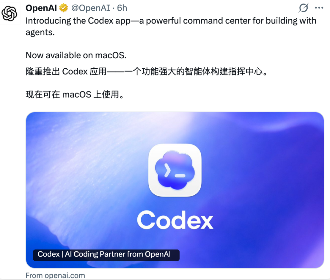ChatGPT Codex App 界面截图